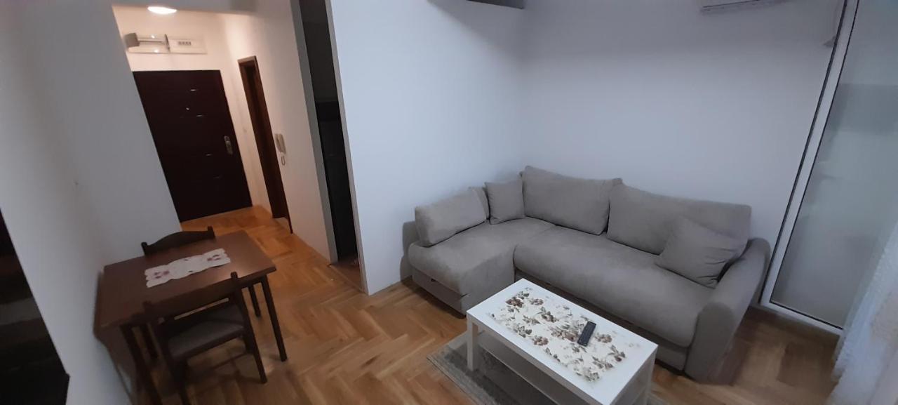 Apartment Luka ポドゴリツァ エクステリア 写真